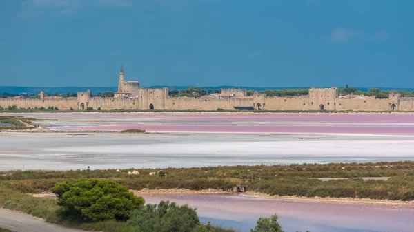 Quelles sont les meilleures périodes pour visiter Aigues-Mortes et profiter pleinement de votre hôtel ?