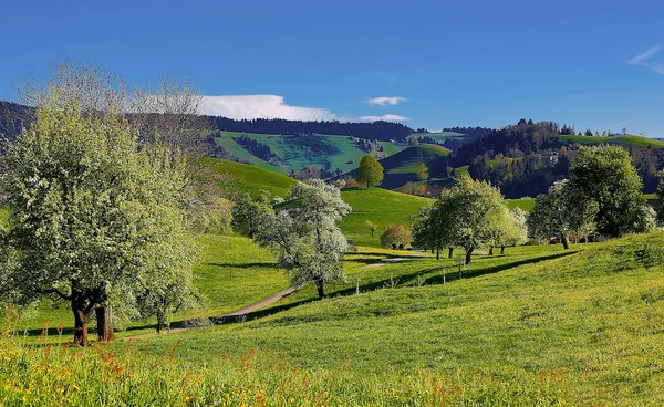 Quel est le meilleur pays à visiter ?